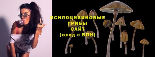 сатива Абдулино