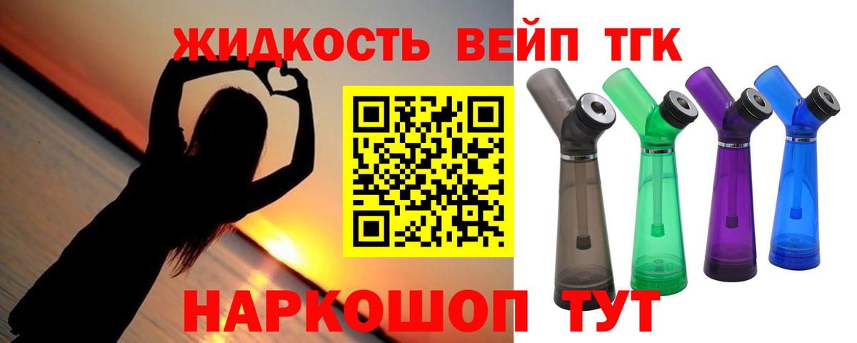 Димитровград  ТГК концентрат  Вход с VPN 
