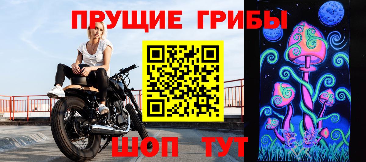 Псилоцибиновые грибы MAGIC MUSHROOMS Димитровград