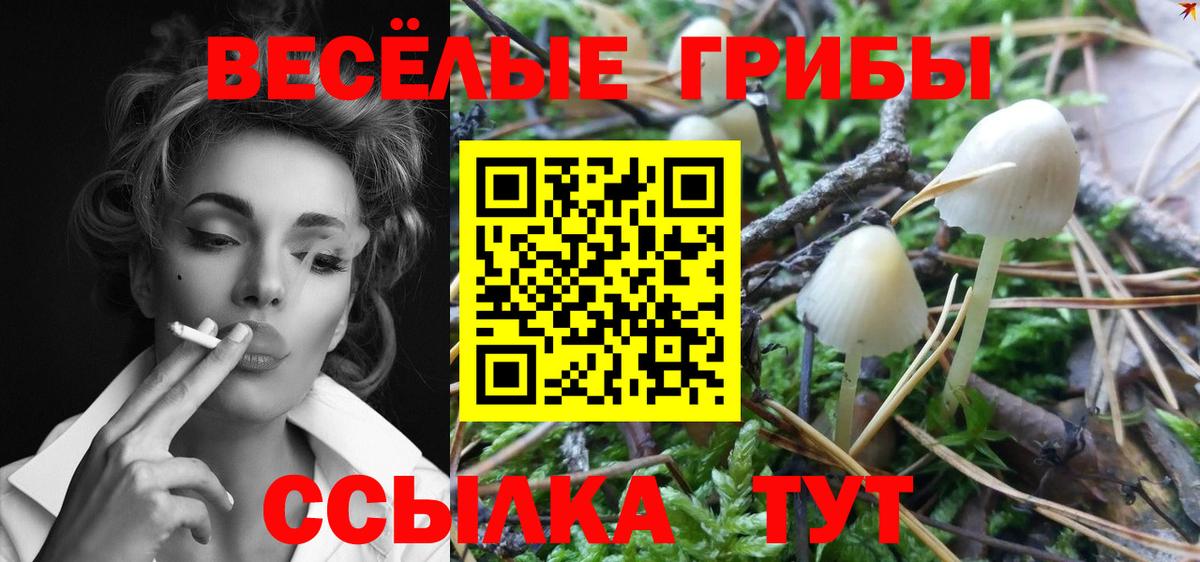 Псилоцибиновые грибы мухоморы  Вход с VPN  Димитровград 