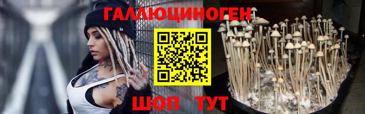  КОКАИН Димитровград